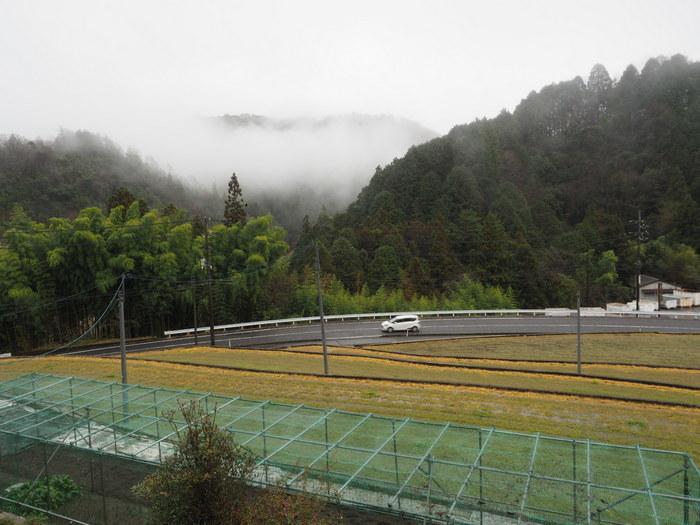 雨のち晴れ_c0116915_23472211.jpg