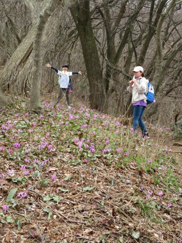 孫と登った角田山灯台コース(^o^)_a0309917_15171355.jpg