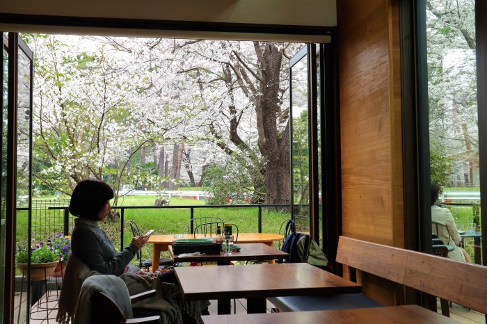 大宮公園に接した カフェ店_d0150720_11010942.jpg