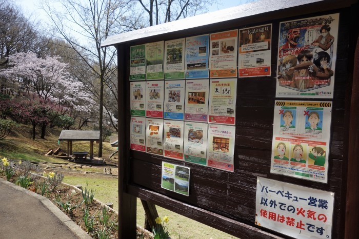 ■散策【県立七沢森林公園P-2】_b0033423_14193620.jpg