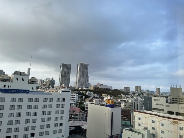 沖縄上陸!花粉解放!那覇セミナー! 2021.3.19_b0002156_23240589.jpeg