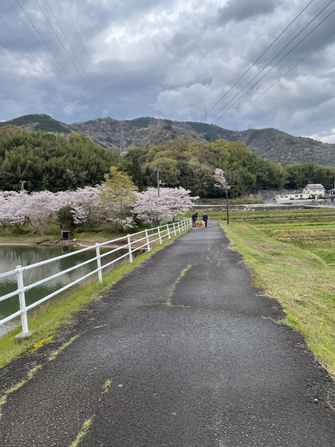 有り難い日曜日。_a0394574_22150956.jpeg