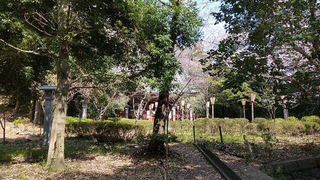 賎機山に行ってきました_f0228680_07590586.jpg