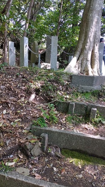 賎機山に行ってきました_f0228680_08000719.jpg