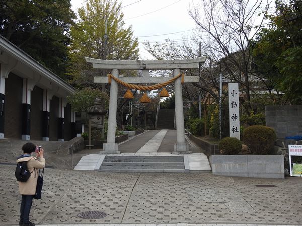 小動神社　風もないのに揺れる松が地名の由来_c0361995_17241251.jpg