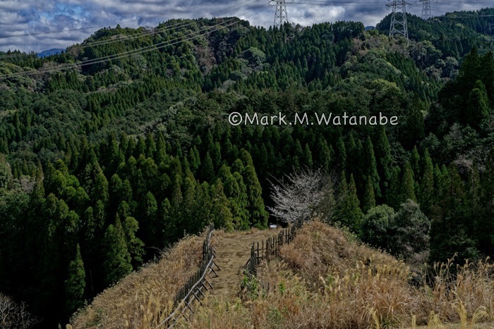 竪志田城跡_e0135098_23591956.jpg