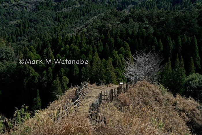 竪志田城跡_e0135098_23593446.jpg