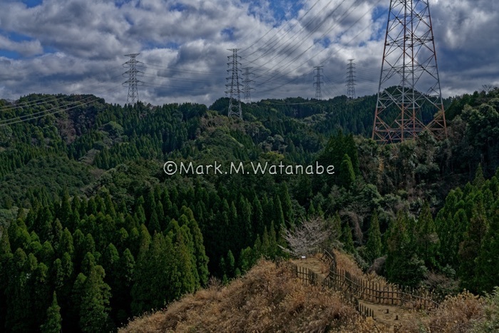 竪志田城跡_e0135098_23595017.jpg