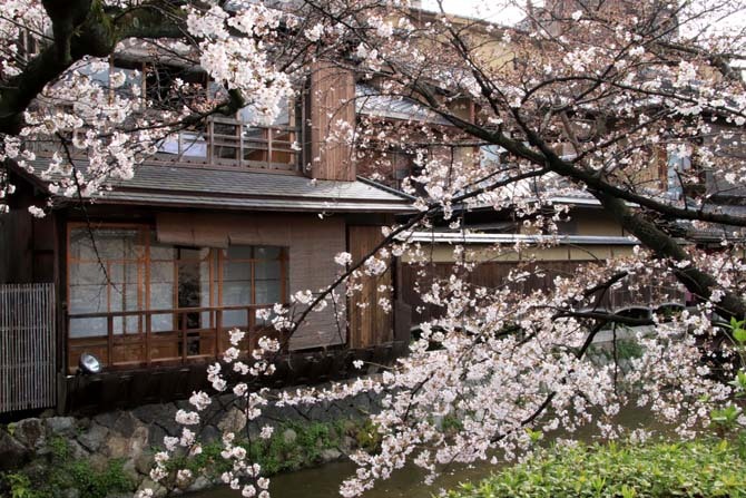 祇園白川と高瀬川一の舟入から　さくら満開_e0048413_20320896.jpg