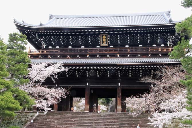 山門の桜が満開に　知恩院_e0048413_21430824.jpg