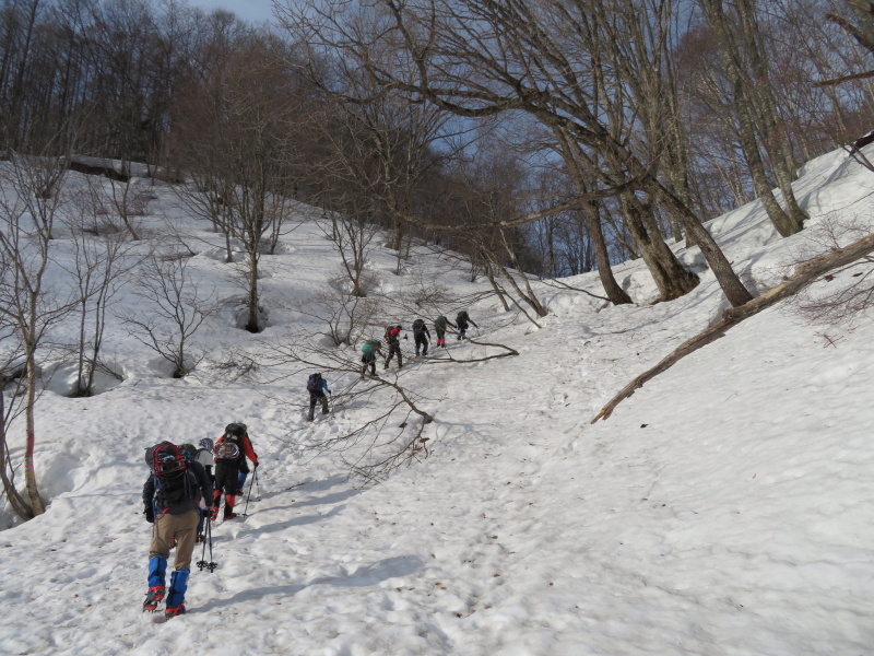 急登続く雪の山　  猿ｹ馬場山 (1,875M)    登頂 編_d0170615_07035103.jpg