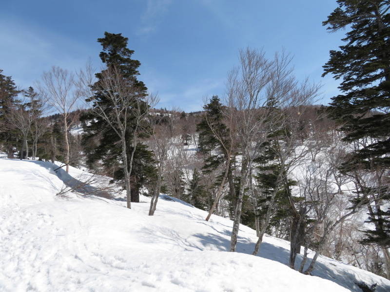 快晴の雪山　猿ｹ馬場山 (1,875M) 　  山頂 編_d0170615_20292151.jpg