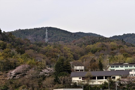 遠望、安浦の桜_e0175370_09252100.jpg