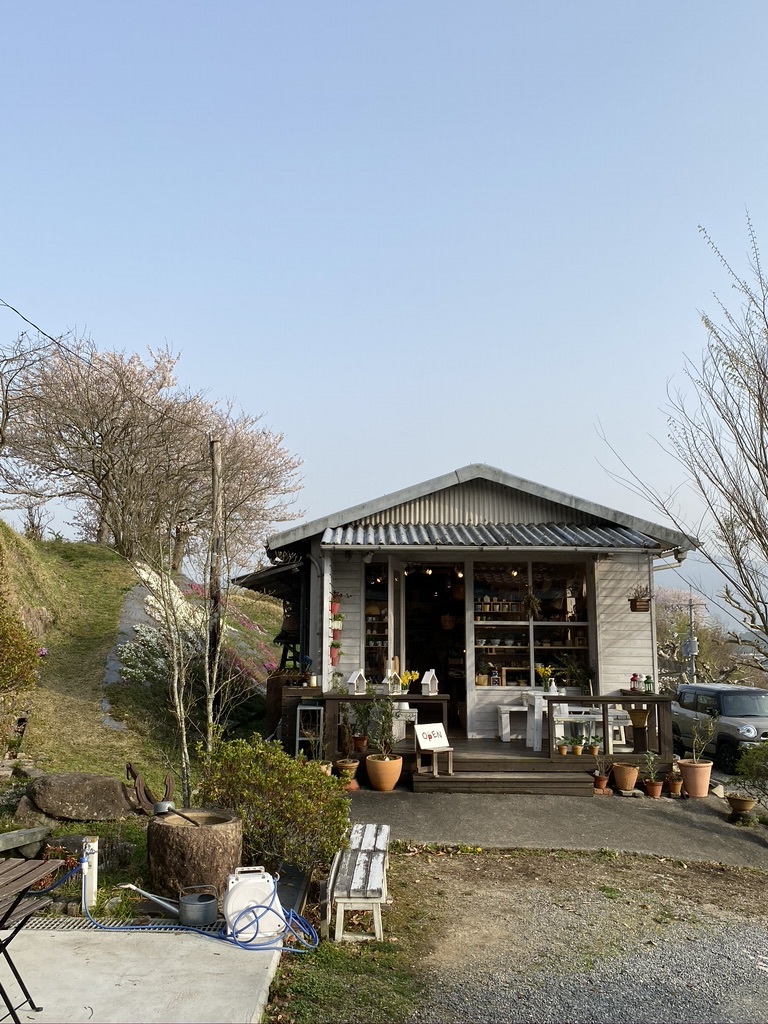 裏山の桜だより③　 〜2021〜_c0334574_19113324.jpeg