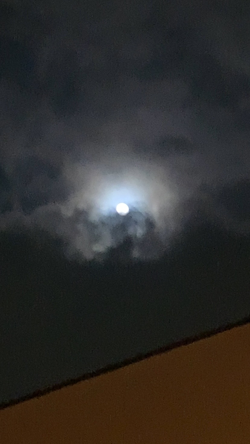 おはようございます!_f0152875_00512239.jpg