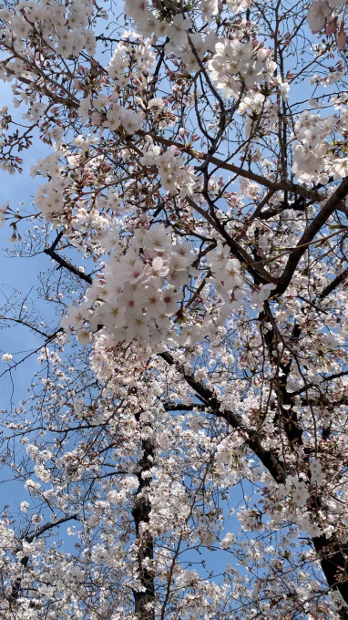 おはようございます!_f0152875_00513304.jpg