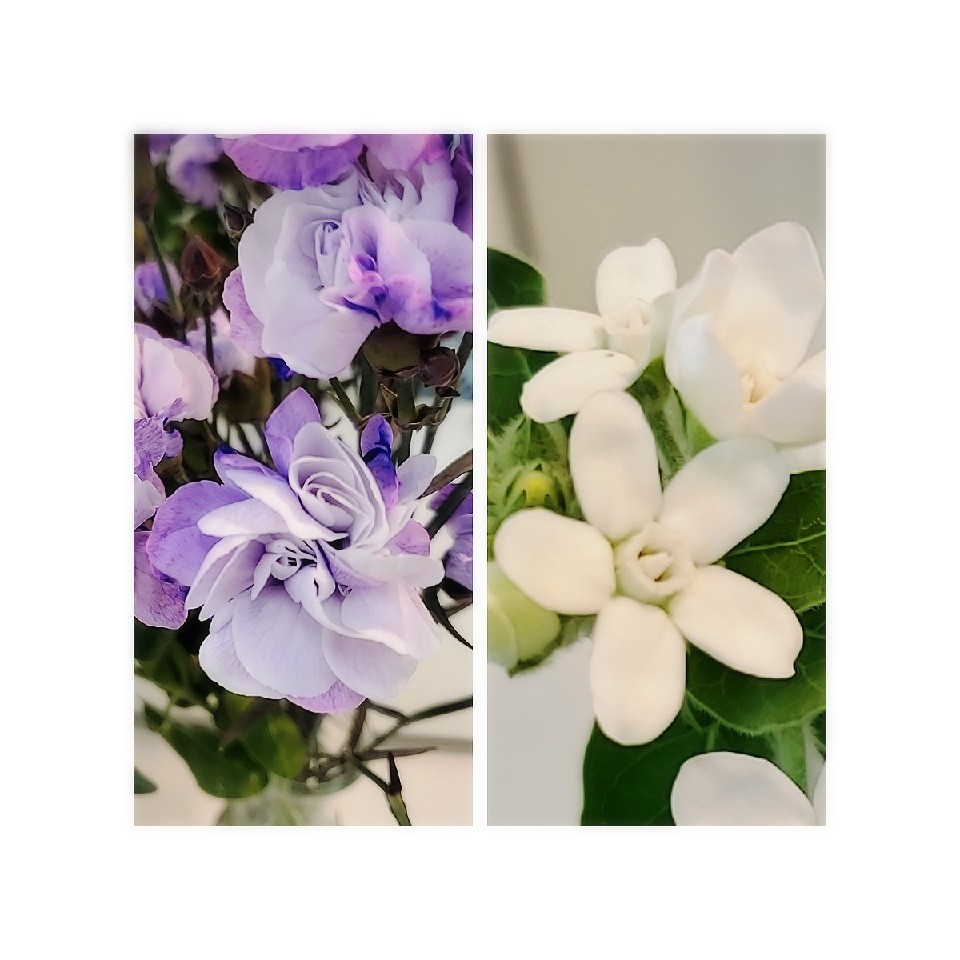 今月の お花_b0211088_23484641.jpg