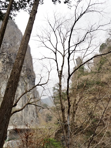 青梅と奥多摩に撮影旅。_b0129807_21124537.jpeg