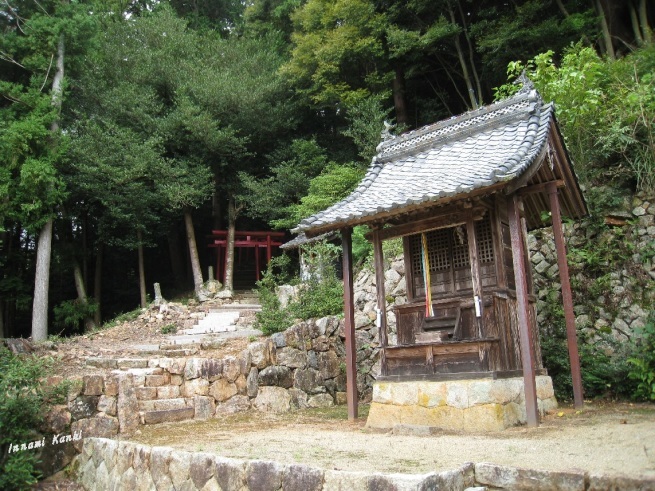 大崎神社（丹波市氷上町）_d0287413_17130367.jpg