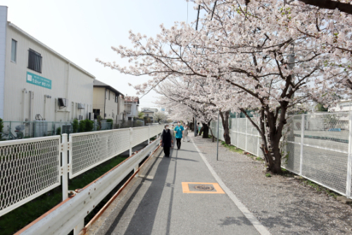 機能訓練 ~ 桜の下で屋外歩行訓練 ~_e0222340_15243664.jpg