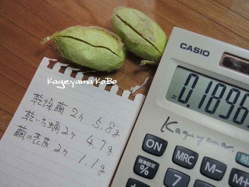 天蚕の繭を手に入れました_f0175143_23011019.jpg