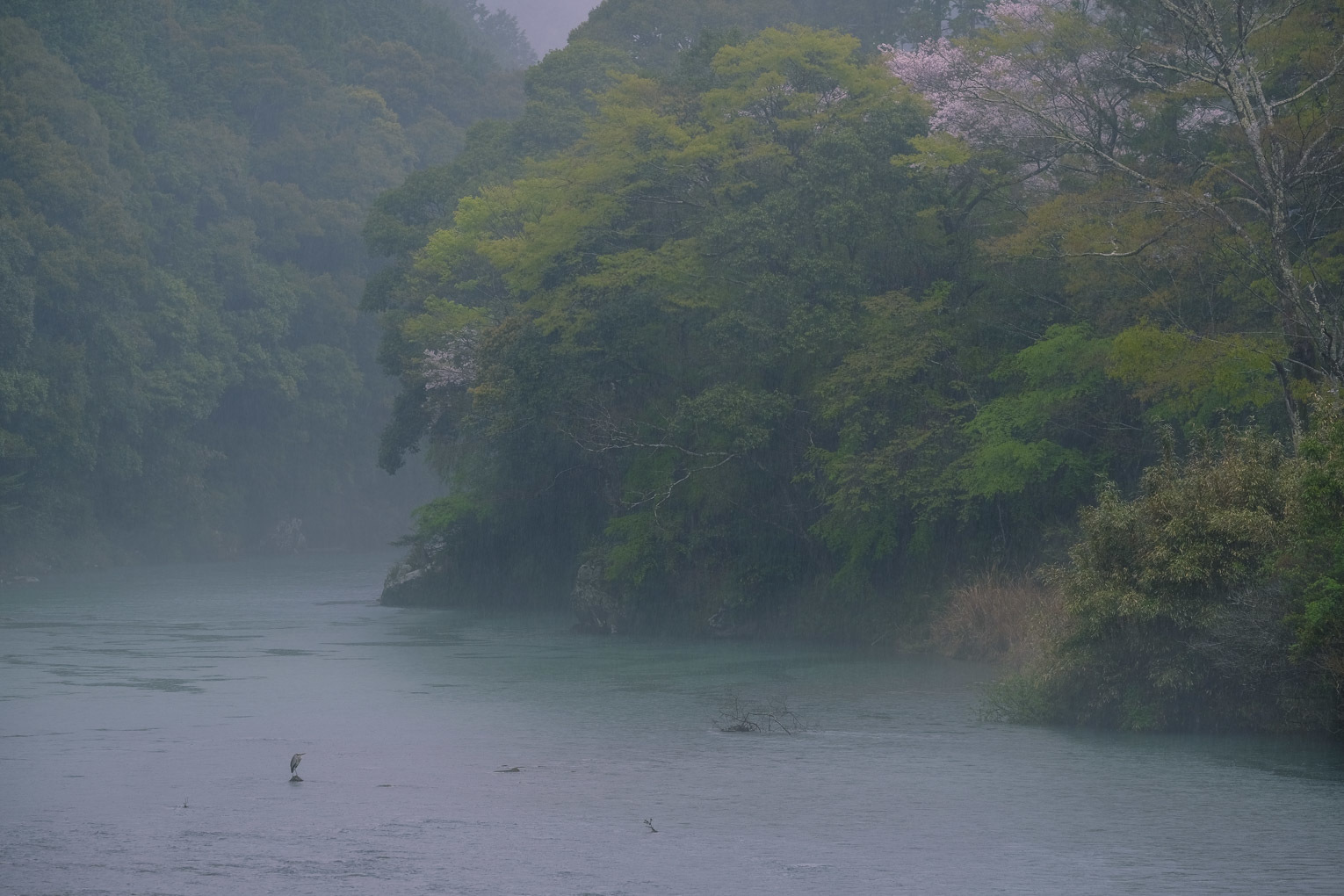 清流古座川_d0058445_07135126.jpg