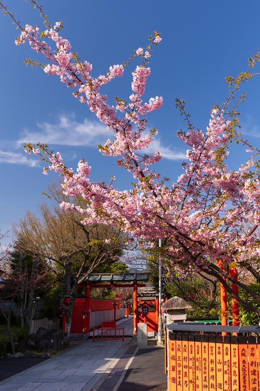 2021桜咲く京都 桜の神社（車折神社）_f0155048_22541499.jpg