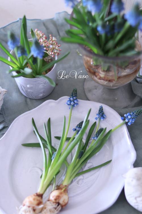3月Living flower 『Pastel color flower bottle arrangement』_e0158653_09404791.jpg