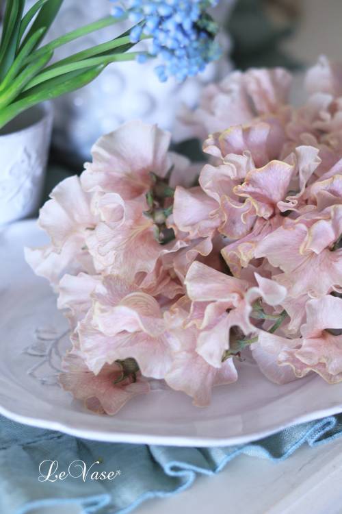 3月Living flower 『Pastel color flower bottle arrangement』_e0158653_09412391.jpg