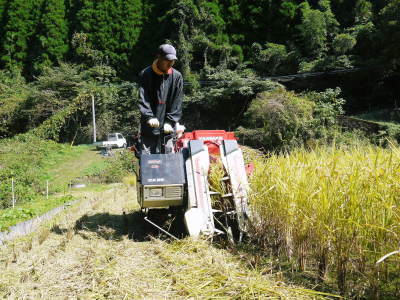 キウイの芽吹き(2021) 今年は例年より1週間早い芽吹きです!今年も完全無農薬、無化学肥料栽培です _a0254656_18123567.jpg
