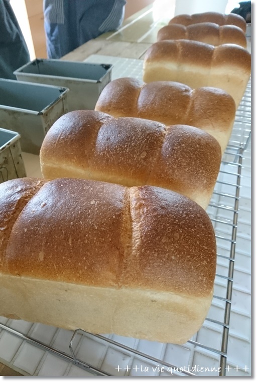 【いちご酵母】ふんわりモチモチ山食!と4歳児の新保育園への揺れる思いが体調に…_a0348473_04243889.jpg