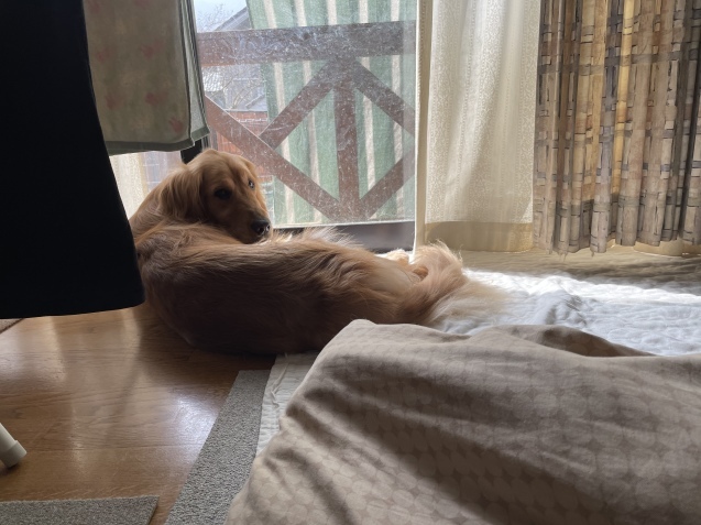 迷う。_a0394574_09465476.jpeg