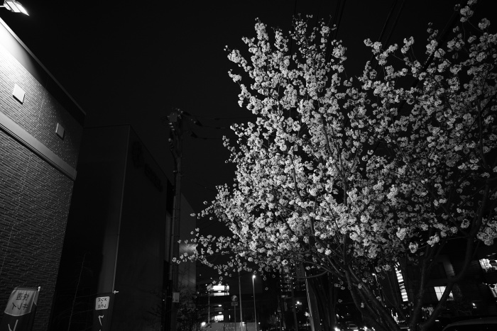 千葉出張_f0167977_19484950.jpeg