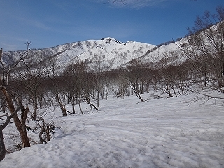 野伏ヶ岳スノーシューツアー_e0064783_20543796.jpg