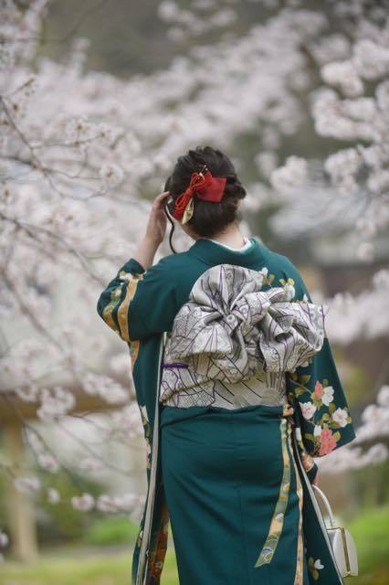 年によっては桜の開花時期がずれてくれて場所........_b0194185_18442254.jpg