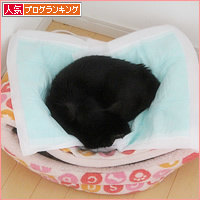 女王様のベッド_a0389088_14335837.jpg