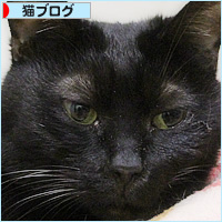 女王様のベッド_a0389088_14335895.jpg