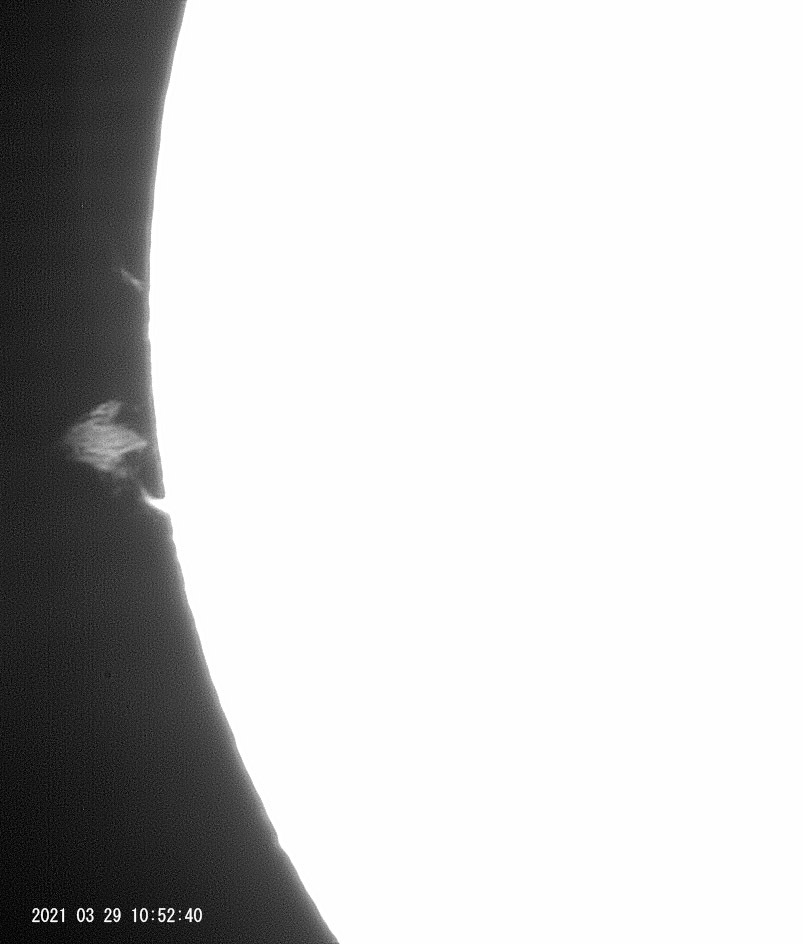 3月29日の太陽_e0174091_16585523.jpg