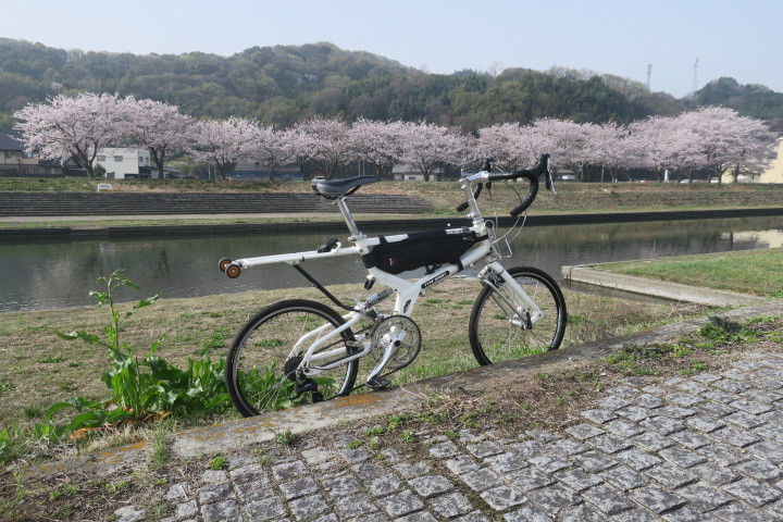 タルタルーガ　タイプＳ＋桜_c0132901_19382312.jpg