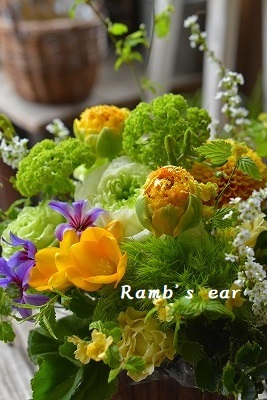 お供え花 Ramb S Ear ラムズイヤー お供え花 Ramb S Ear ラムズイヤー