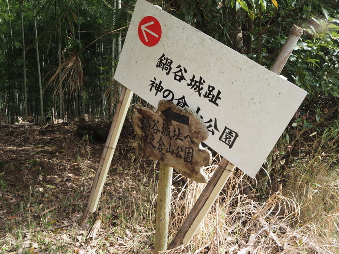 神ノ倉山登山（満開の桜）_c0116915_01091269.jpg