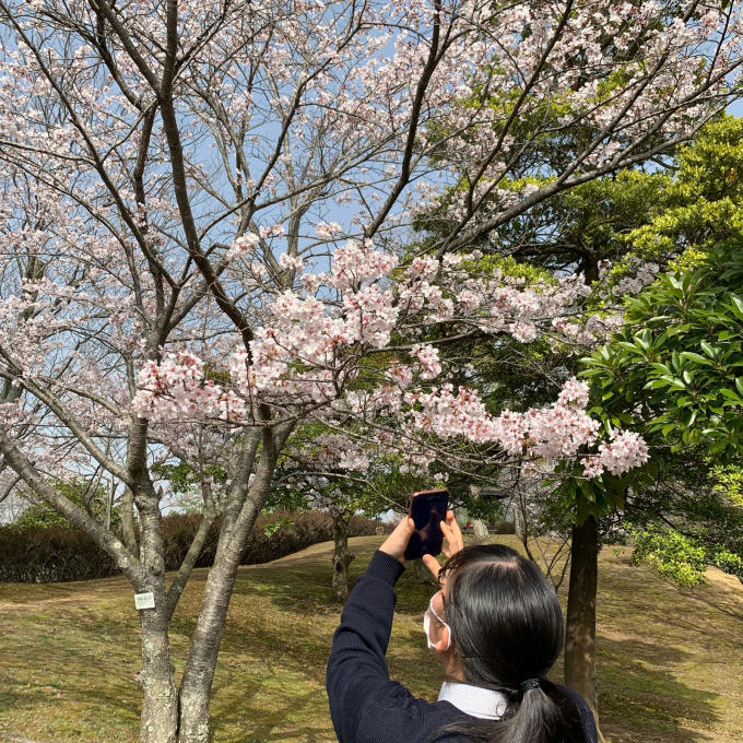 桜パトロール 【本庄レイクパーク】2021.3.30_c0211221_06462561.jpg