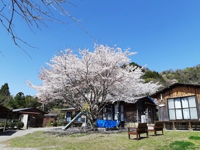 近場でお花見 その2_f0129726_18442242.jpg