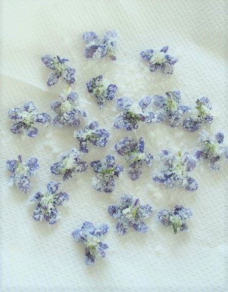すみれの花の砂糖漬け Cocon すみれの花の砂糖漬け Cocon
