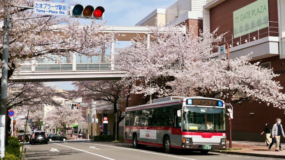 たまプラーザ駅より桜並木を辿る 黄色い電車に乗せて たまプラーザ駅より桜並木を辿る 黄色い電車に乗せて
