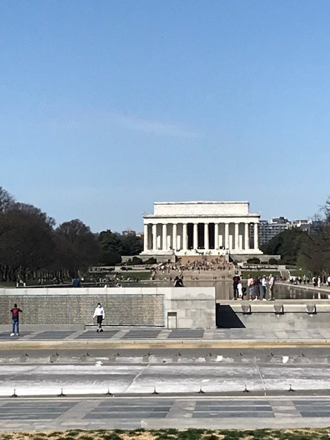 2021 ワシントンD.C. 桜便り_d0269832_21025595.jpeg