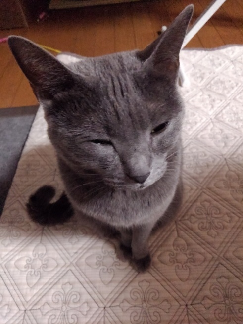 天赦日とか_d0152937_20452206.jpg