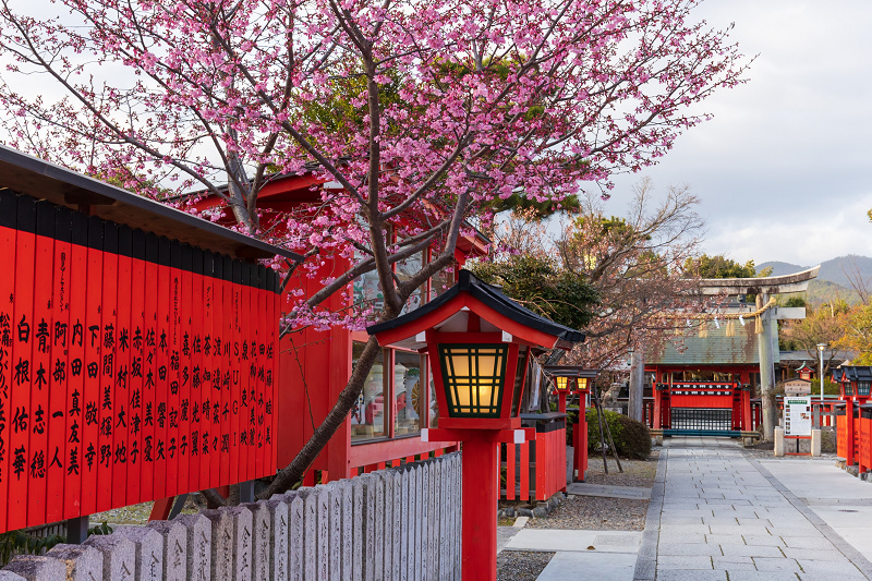 2021桜咲く京都 桜の神社（車折神社）_f0155048_10000768.jpg