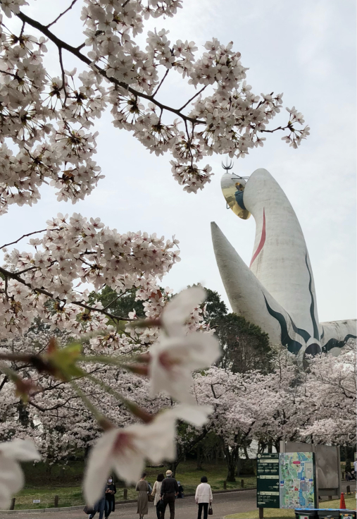 万博記念公園の桜まつり Memories 万博記念公園の桜まつり Memories