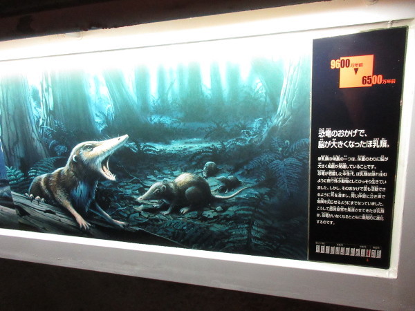 【瑞浪市情報】瑞浪市地球回廊・04_c0152767_07465702.jpg